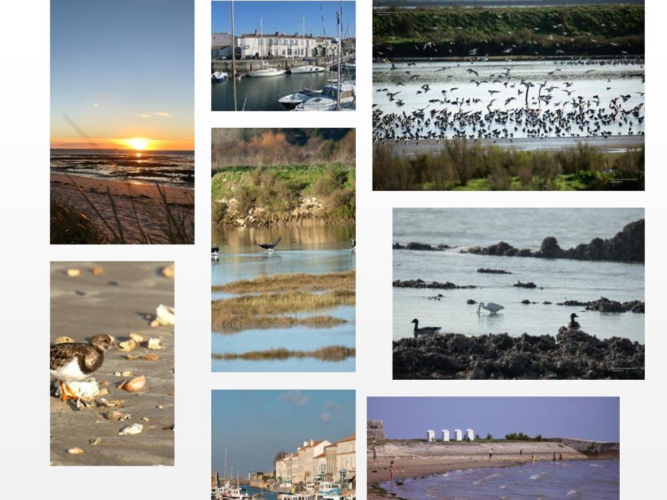 Ile De Re, La Danae, Velos, Wifi, Possibilite Cuisine, Linge, Parking Gratuit Saint-Martin-de-Ré Zewnętrze zdjęcie